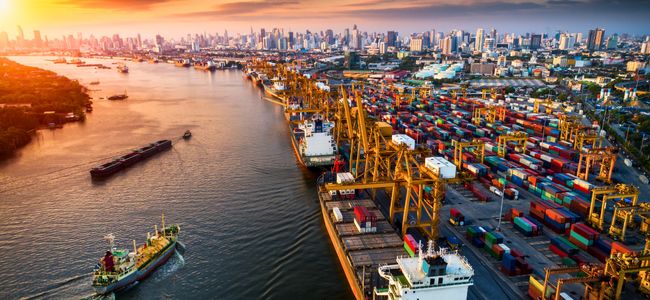 Logistics & Shipping Coordination